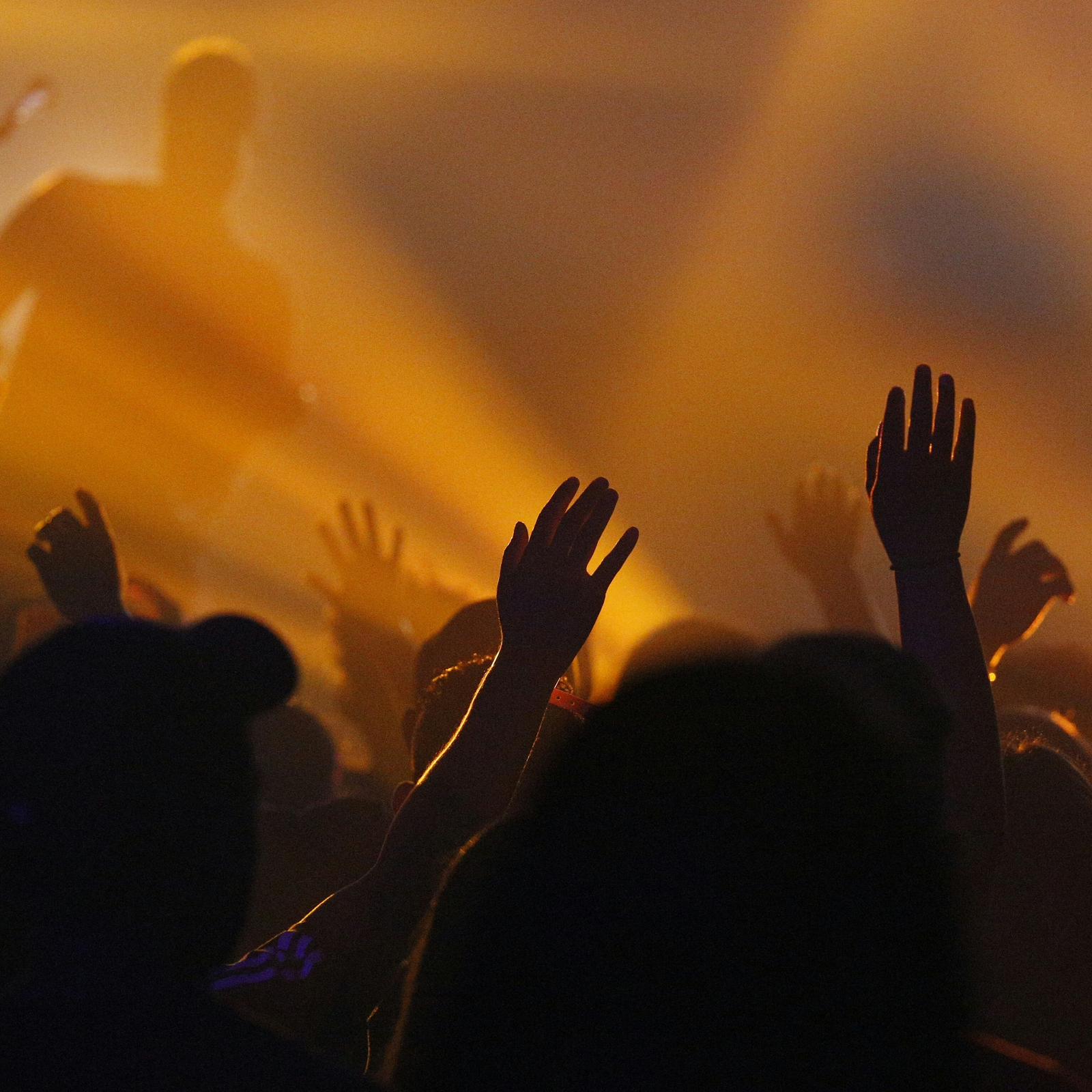 Dazzling Dance Party Night